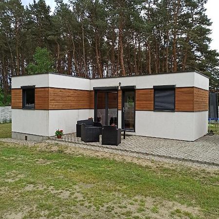 Domki Pod Sosnami Miedzychod Eksteriør bilde